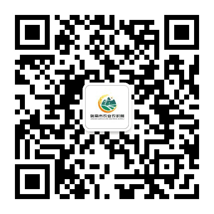 陇南农牧公众号二维码