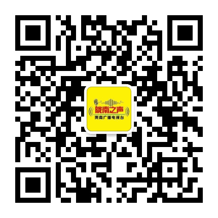 陇南之声公众号二维码