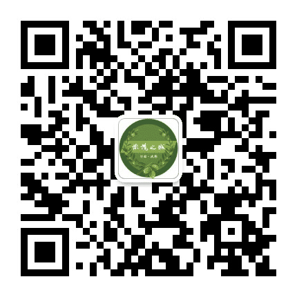 陇南武都发布公众号二维码