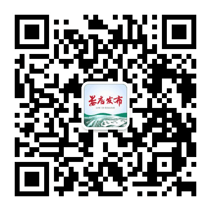 娄底发布公众号二维码