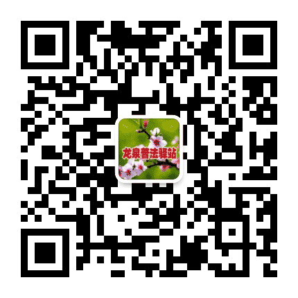 龙泉普法驿站公众号二维码