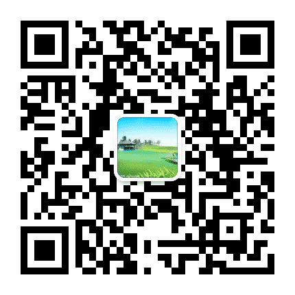 绿岛公社公众号二维码