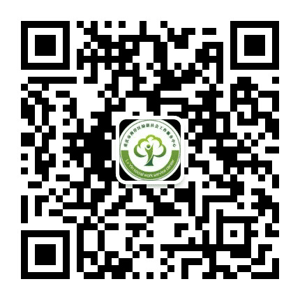 南坪镇绿荫社工中心公众号二维码