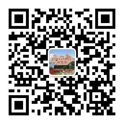 临沂临港宣传公众号二维码
