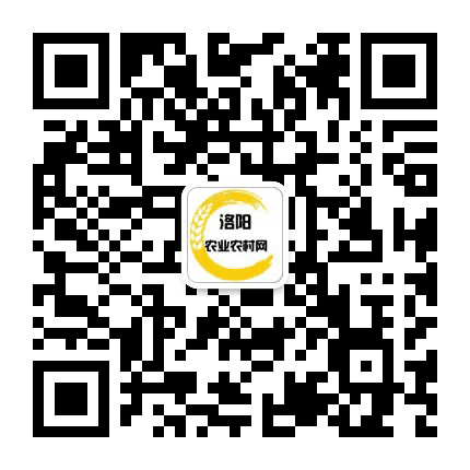 洛阳乡村振兴公众号二维码