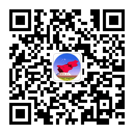 旅游四平公众号二维码