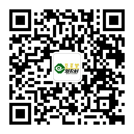 新农村豆芽梦公众号二维码