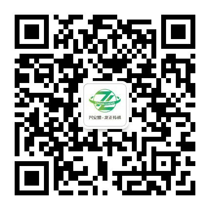 龙正传承文化公众号二维码