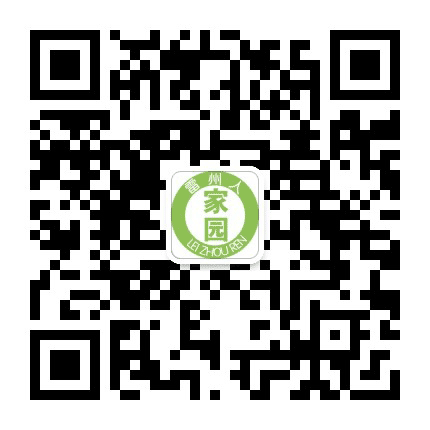 雷州人家园公众号二维码