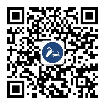 马上到科技公众号二维码