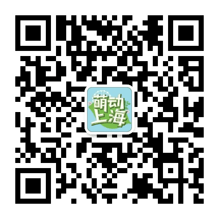 萌动上海公众号二维码