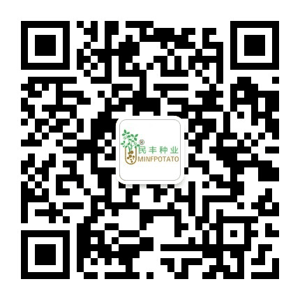 民丰种业公众号二维码