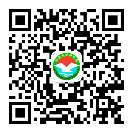 茂名市桥南小学公众号二维码