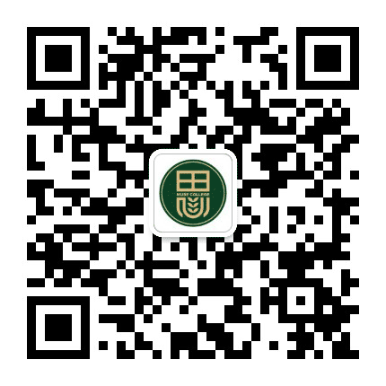 香港中文大学深圳思廷书院公众号二维码