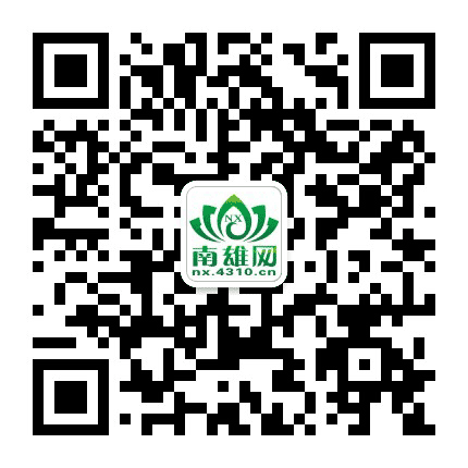 南雄网公众号二维码