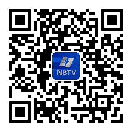 NBTV新闻公众号二维码