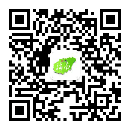 海南资讯网公众号二维码