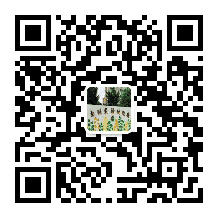 嘉兴市南湖实验幼儿园公众号二维码