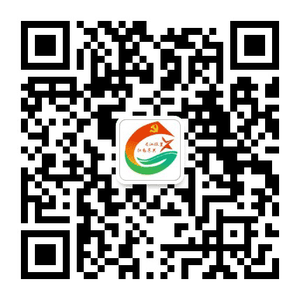 东兴党建公众号二维码