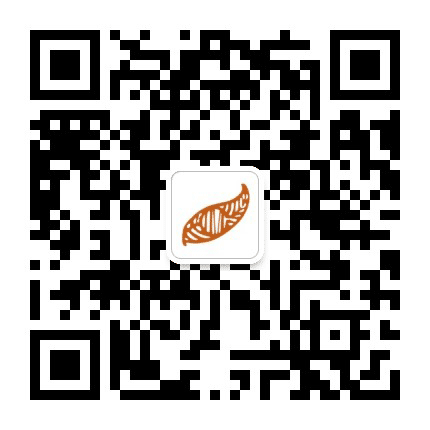 内蒙古文化和旅游厅公众号二维码