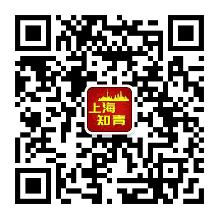 上海知青公众号二维码