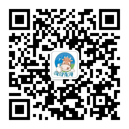 攒劲青海公众号二维码