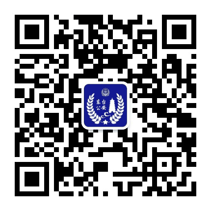 盐城东台公安微警务公众号二维码