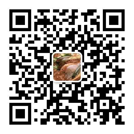 平海渔村公众号二维码