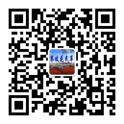 民革攀枝花市委公众号二维码