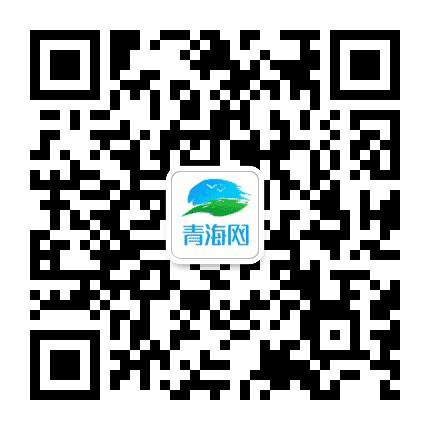 青海网公众号二维码