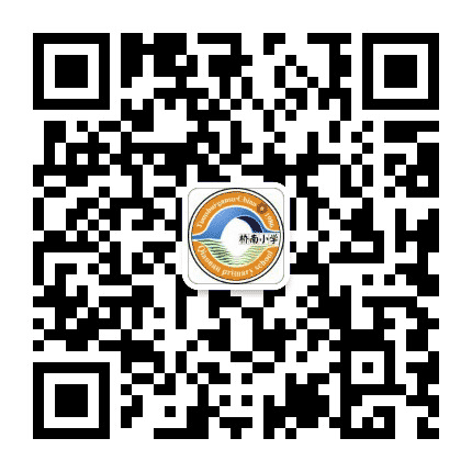 麦积区桥南小学公众号二维码