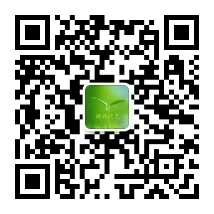 桥西文艺公众号二维码