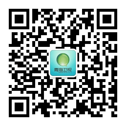青海卫视公众号二维码