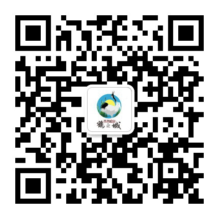 齐齐哈尔文旅公众号二维码