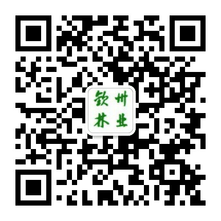 钦州林业公众号二维码
