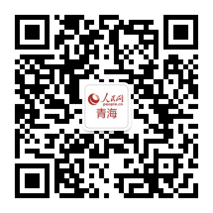 人民网青海频道公众号二维码
