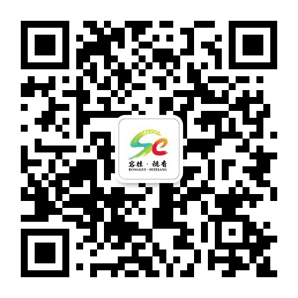容桂穗香公众号二维码