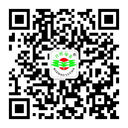 日照绿茶公众号二维码