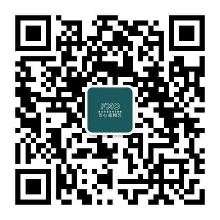 芳心草园艺集团公众号二维码