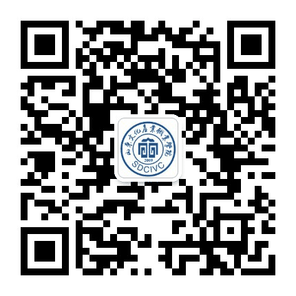 山东文化产业职业学院公众号二维码