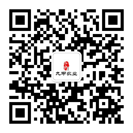 山东九甲农业有限公司公众号二维码