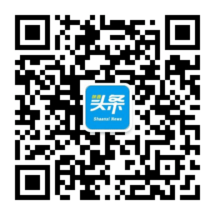 陕西头条公众号二维码