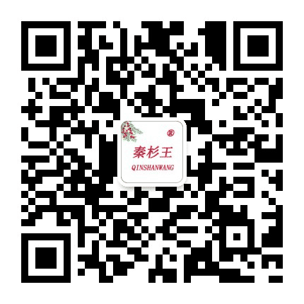 秦岭红豆杉公众号二维码