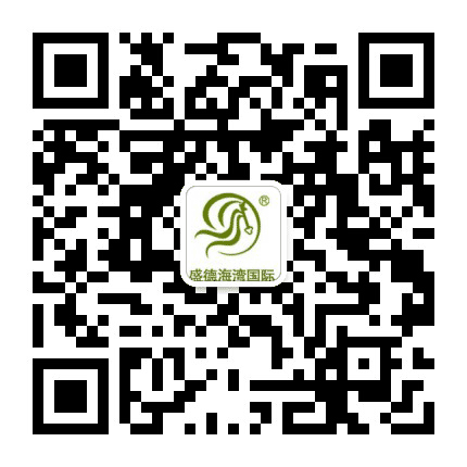盛德海湾国际公众号二维码