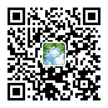 生活美相册公众号二维码