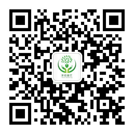 园艺上海公众号二维码