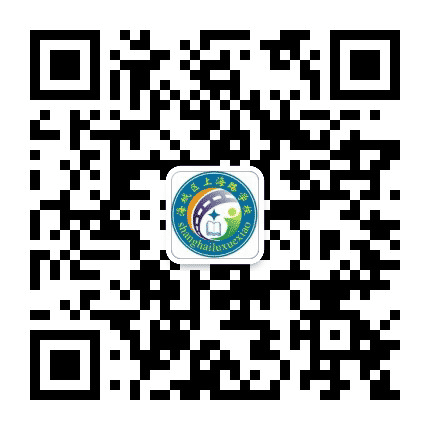 上海路学校公众号二维码