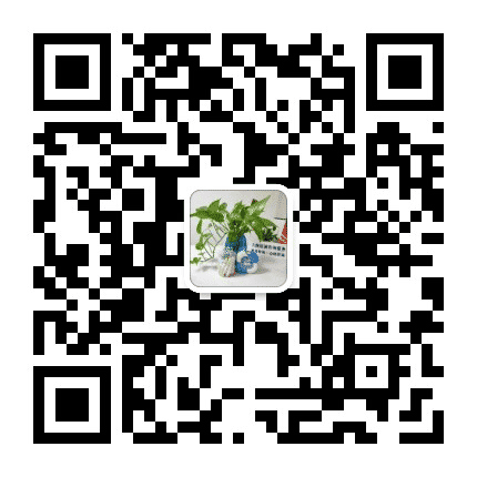 上海悟诚教育公众号二维码