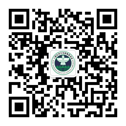 石城禁毒公众号二维码