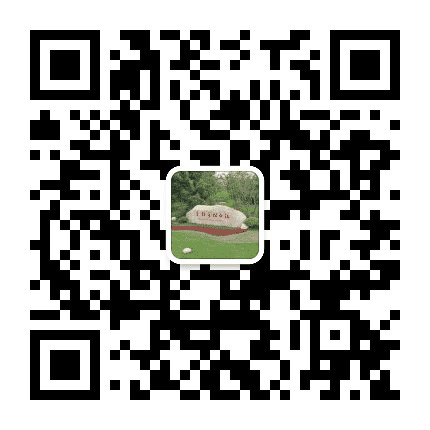 头桥发布公众号二维码